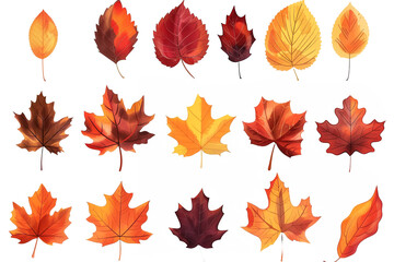 set of autumn leaves isolated on transparent background