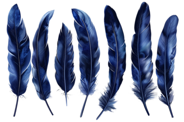 set of dark blue feathers isolated on transparent background