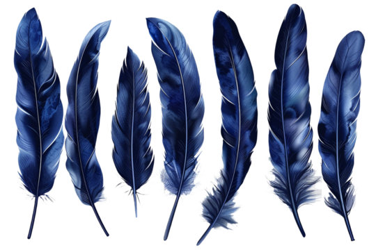 set of dark blue feathers isolated on transparent background
