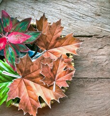 Maple leaves on the table