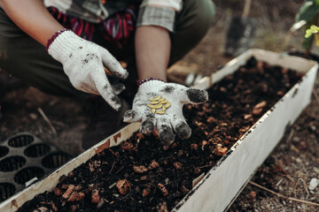 Gardeners hold pumpkin seeds in their hands before planting them in the ground.
