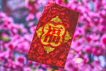 A Taste of Shenzhen - Snapshots