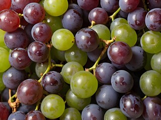 bunch of grapes