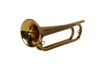 trumpet isolated on white background , sound ,insturment,music
