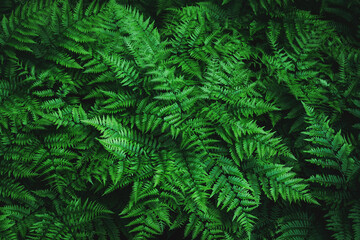 Close-up of lush green leaves, showcasing their texture and exotic patterns. The intricate foliage and natural beauty of botanical greenery.