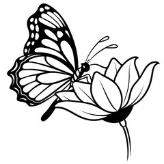 A side view line art of a monarch butterfly resting on a flower 