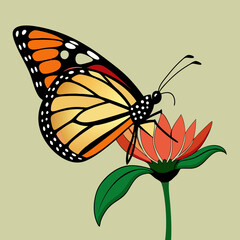 A side view vector art of a monarch butterfly resting on a flower 