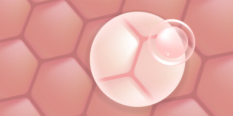 Hyaluronic acid and Niacinamide hair and skin solutions ad, pink collagen serum drops into skin cell with cosmetic advertising background ready to use, illustration vector.