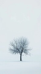 winter , award photo, commercial ads photo, product shot, stunning, beautiful, minimalist, centered