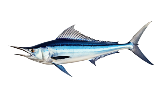 Blue marlin on transparent background Generative AI
