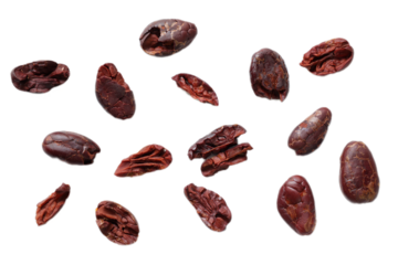 beans isolated on white