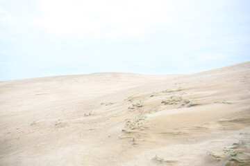 landscape background of sand dunes Tottori Sakyu, Japan