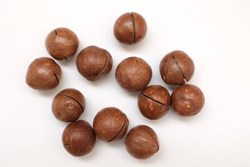 Macadamia nut 