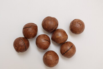 Macadamia nut 