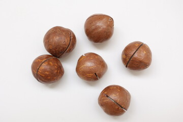 Macadamia nut 