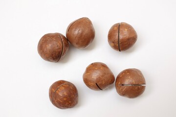 Macadamia nut 
