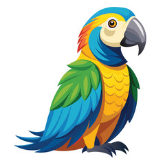 color amazon parrots single birds eps file