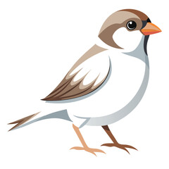 sparrow birds color style white vector file eps