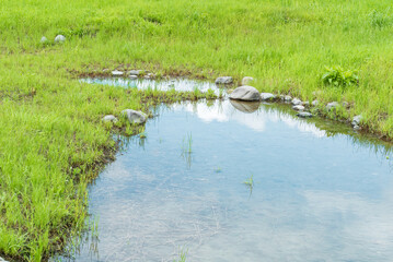 Fototapeta premium 空が写り込んだ大きな水たまり