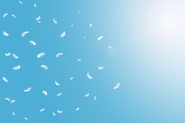Abstract Many White Bird Feathers Floating in A Blue Sky. Softness of Feathers Falling in Heavenly.	
