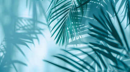 Blurred shadow from palm leaves on the light blue wall Minimal abstract background for product presentation Spring and summer : Generative AI