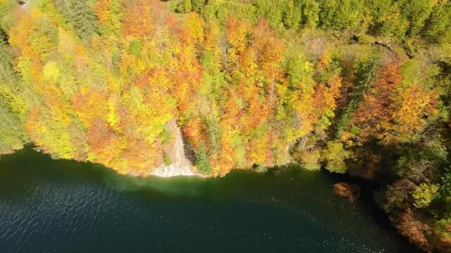Drone Aerial Flight Over Switzerland Lake