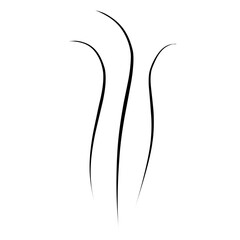 Hand drawn fire steam. smooth aroma smoke, vector hookah clouds,  incense comic steams waves