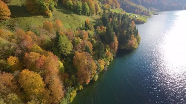 Drone Aerial Flight Over Switzerland Lake