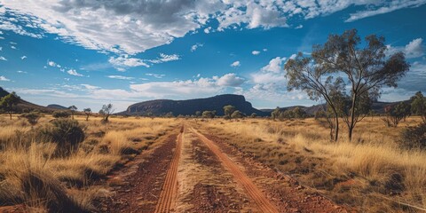 Dirt road through the Australian outback