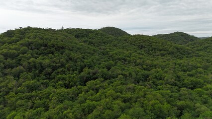 Obraz premium High angle shot, forest, mountains, sky view, fertile forest.