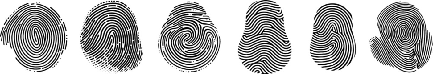 fingerprint vector set. identity biometric system. Security id verification human. Vector fingerprint collection.
