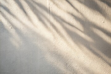 Fototapeta premium Soft Shadows on Light Gray Wall Background 
