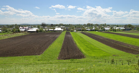 Beautiful landscape of a green agronomy field with blue sky and clouds.