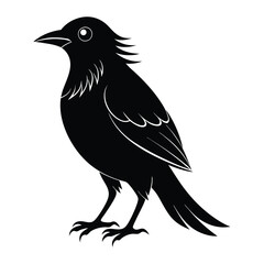 Silhouette of a bird on white Background. vector line art of abstract art design, minimal bird line logo icon illustration isolated on white background. Bird Silhouette Vector Art illustration.