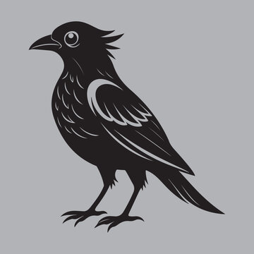recommend clip art: Silhouette of a bird on white Background. vector line art of abstract art design, minimal bird line logo icon illustration isolated on white background. Bird Silhouette Vector Art illustration.