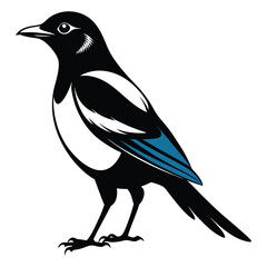 Magpie bird black and white Silhouette Art. Oriental magpie robin bird design on white background. Easy editable layered illustration. Wild Animals.
