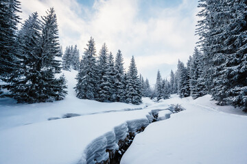 Alpine mountains landscape with white snow and blue sky. Sunset winter in nature. Frosty trees under warm sunlight. Wonderful wintry landscape. Low Tatras, Slovakia