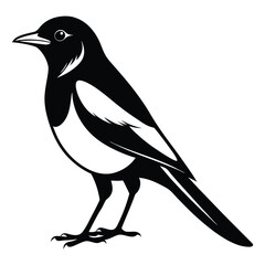 Magpie bird black and white Silhouette Art. Oriental magpie robin bird design on white background. Easy editable layered illustration. Wild Animals.