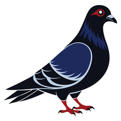 Pigeon Silhouette. Pigeon Vector Art Illustration. Pigeon, Bird, Dove, Flying Bird. Silhouette pigeon vector illustration design. 