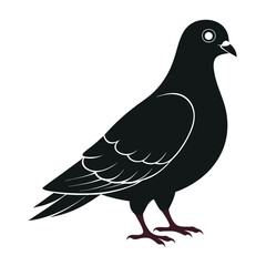 Pigeon Silhouette. Pigeon Vector Art Illustration. Pigeon, Bird, Dove, Flying Bird. Silhouette pigeon vector illustration design. 