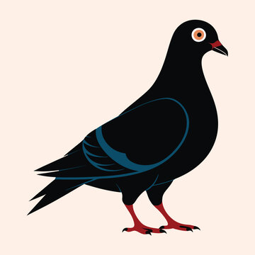 recommend clip art: Pigeon Silhouette. Pigeon Vector Art Illustration. Pigeon, Bird, Dove, Flying Bird. Silhouette pigeon vector illustration design. 
