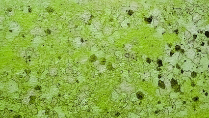 Weathered green wall surface. Green wall. dirty wall, paint stains, sloppy. Black mould on wall. Green wall cracked concrete vintage wall background. old paint