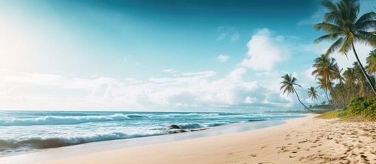 An aerial view of a sandy beach with palm trees and the ocean in the background, with ample copy space in the image.