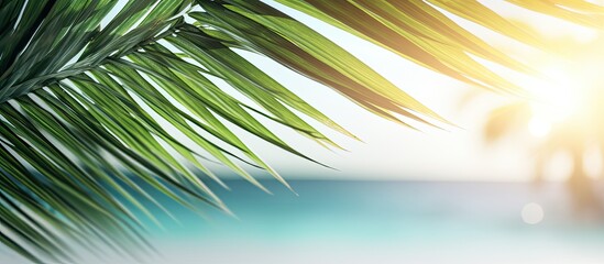 Obraz premium A blurred image showcasing a lush green palm leaf against a tropical beach backdrop with a sunlight bokeh effect. Features copy space for summer vacation and business travel themes.