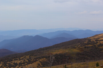 mountains in the fog
