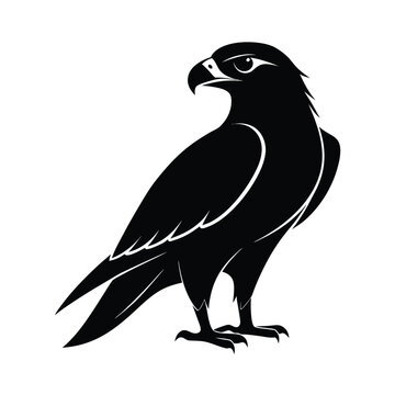 recommend clip art: Silhouette of a bird on white Background. vector line art of abstract art design, minimal bird line logo icon illustration isolated on white background. Bird Silhouette Vector Art illustration.
