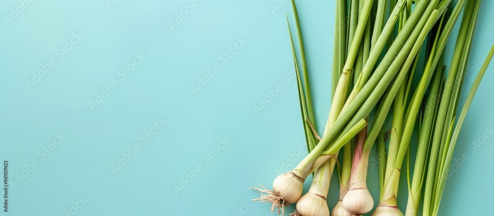 Fototapete lemongrass isolated on pastel background food isolated. with copy space image. place for adding text