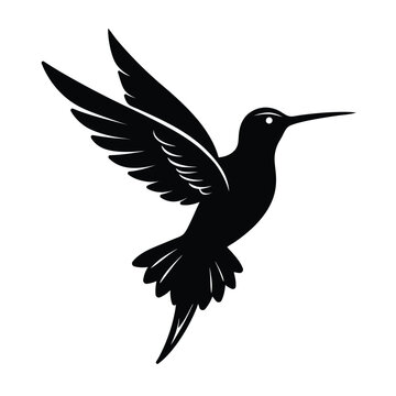 recommend clip art: Silhouette of a bird on white Background. vector line art of abstract art design, minimal bird line logo icon illustration isolated on white background. Bird Silhouette Vector Art illustration.