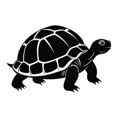 Tortoise silhouettes and icons. black flat color simple elegant Aldabra Giant Tortoise animal vector and illustration. Turtle vector. Turtle Silhouette.