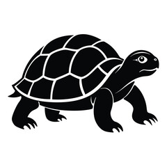 Tortoise silhouettes and icons. black flat color simple elegant Aldabra Giant Tortoise animal vector and illustration. Turtle vector. Turtle Silhouette.